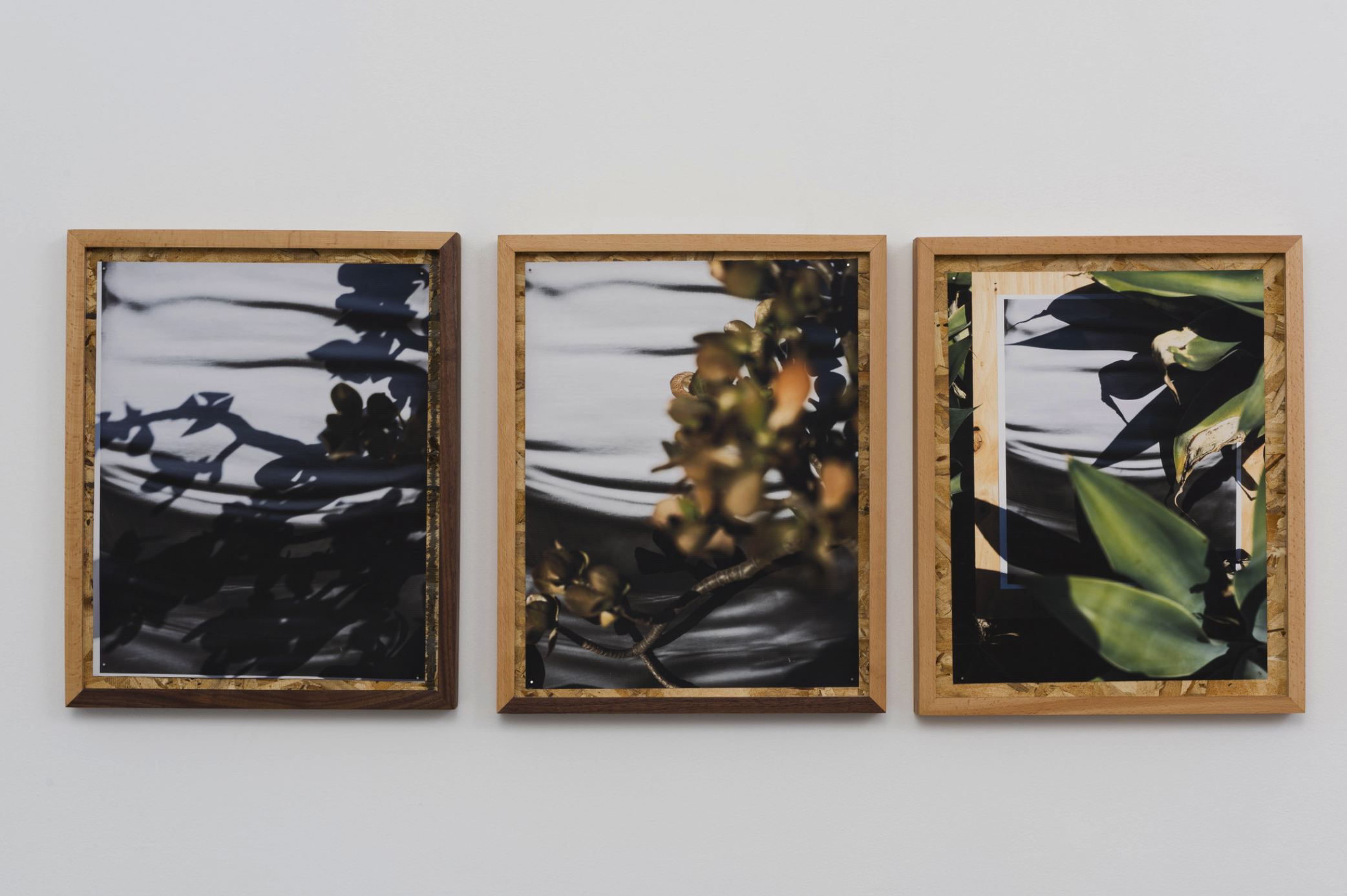 圖四、從左至右《庫卡蒙格牧場 34.1064° N, 117.5931° W. 》2018《回聲公園 34.0782° N, 118.2606° W.》 2018《康普頓 33.8958° N, 118.2201° W. 2018》David Alekhuogie